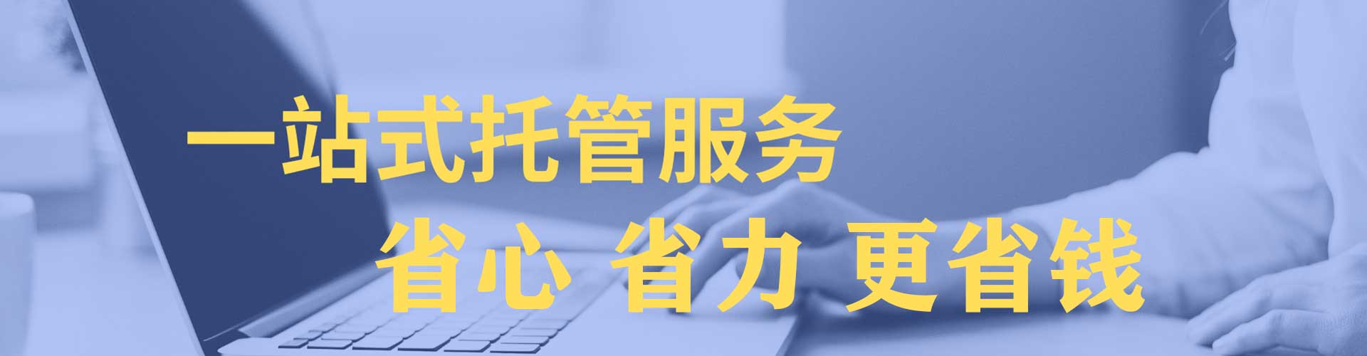 共青城竞价排名